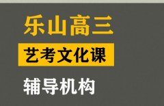 乐山传媒生文化课辅导班,高三文化课辅导机构