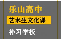 乐山艺术生文化课补习学校,高考艺考生文化课提分班