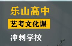 乐山体育生文化课辅导班,高中艺考文化课冲刺学校