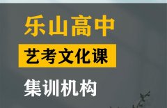 乐山音乐生文化课集训班,高考文化课集训机构