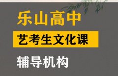 什邡市音乐生文化课辅导机构,高中文化课补课班