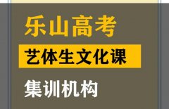 乐山艺体生文化课辅导班,高考文化课集训机构