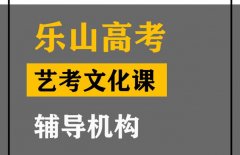 乐山体育生文化课辅导哪家好,高考文化课辅导班