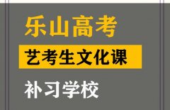 乐山音乐生文化课冲刺学校,高考艺术生文化课补习学校