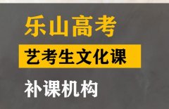 乐山艺考生文化课培训班,高三文化课补课机构