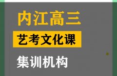 内江音乐生文化课培训机构,高三文化课集训机构