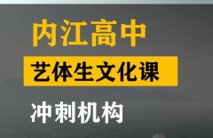 内江艺体生文化课冲刺机构,高三文化课集训班