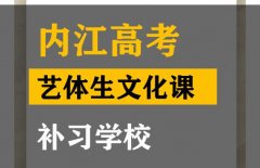 内江艺体生文化课补习学校,高三文化课补课学校