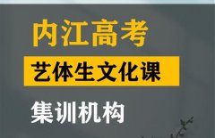 内江艺体生文化课集训班,高中文化课辅导机构