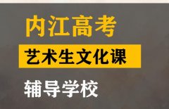 内江艺术生文化课辅导学校,高中文化课集训机构