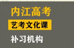 内江传媒生文化课冲刺班,高考文化课补习机构