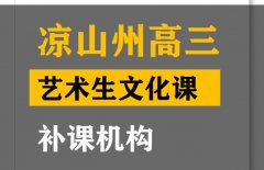 凉山艺术生文化课补习哪家好,高中文化课补习机构