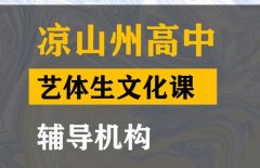 凉山传媒生文化课辅导哪家好,高考文化课提分机构