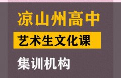 凉山传媒生文化课补习班,高中文化课集训机构