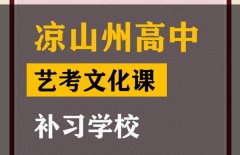 凉山传媒生文化课补习哪家好,高中文化课补习学校