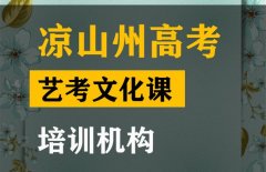 凉山传媒生文化课补习班,高考文化课培训班