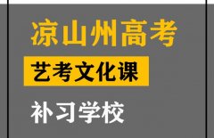 凉山艺考2024文化分要求高吗,高考艺考文化课补课学校