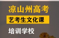 乐山艺考生文化课冲刺班,高考艺考生文化课培训学校