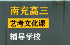 南充美术生文化课集训哪家好,高考文化课辅导学校