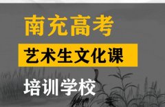 南充艺术生文化课培训怎么收费,高考文化课集训学校