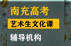 南充传媒生文化课辅导机构,高考文化课补课班