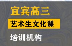 宜宾体育生文化课辅导学校,高三艺术生文化课培训班