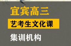 宜宾2024年艺考生文化分要求多少,高三文化课集训机构