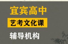 宜宾传媒生文化课冲刺机构,高三艺考文化课辅导班