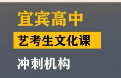 宜宾美术生文化课冲刺机构,高三文化课提分机构