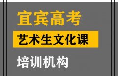 宜宾艺术生文化课培训机构,高考艺考文化课辅导班