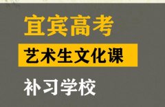 宜宾体育生文化课冲刺哪家好,高中艺术生文化课补习学校