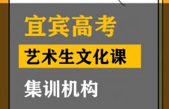 宜宾美术生文化课培训怎么收费,高中文化课集训班