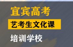 宜宾美术生文化课补习学校,高中艺考生文化课培训学校