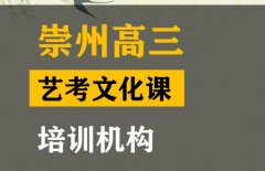 崇州市艺术生文化课冲刺中心,高三文化课培训班