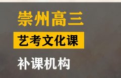 崇州市音乐生文化课补课班,高三文化课补课机构