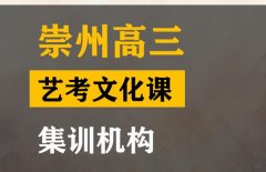 崇州市舞蹈生文化课集训学校,高三艺考文化课集训班