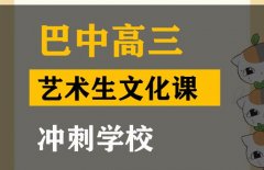 西昌市艺考生文化课辅导中心,高三艺术生文化课冲刺学校