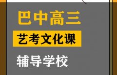 阆中市舞蹈生文化课培训班,高考文化课辅导学校