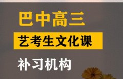 马尔康市音乐生文化课培训中心,高三艺考生文化课补习机构