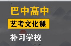 万源市艺考文化课补习中心,高中艺考文化课提分学校