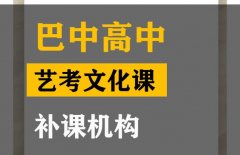 华蓥市艺考文化课培训中心,高中艺考生文化课补课机构