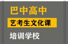 巴中艺考生文化课培训哪家好,高考文化课冲刺学校