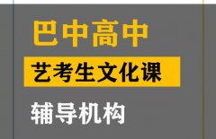 马尔康市舞蹈生文化课补课中心,高中艺考生文化课辅导班