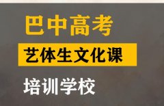 巴中体育生文化课培训学校,高三文化课辅导班