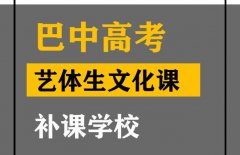 巴中艺体生文化课补习哪家好,高中文化课提分学校