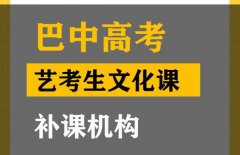 巴中艺考生文化课补习学校,高考文化课补习机构