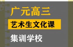 广元艺体生文化课辅导班,高三艺术生文化课集训学校