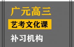 广元传媒生文化课冲刺班,高考文化课补习机构