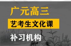 广元艺体生文化课冲刺怎么收费,高三艺术生文化课补习机构