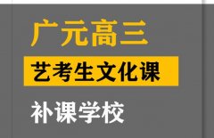 广元音乐生文化课培训学校,高三艺术生文化课补课班